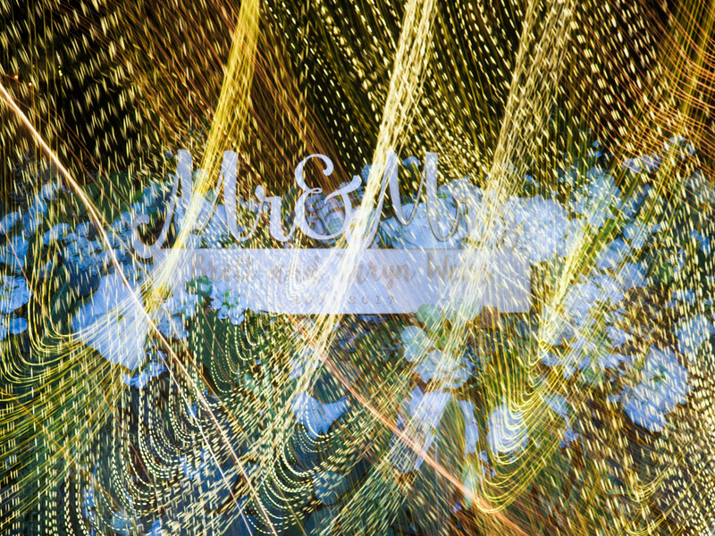 Illustration for article titled BAGEL + T = <3 : A WEDDING